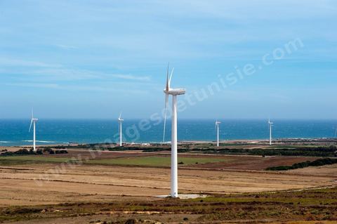 STEG Wind Farm in Sidi Daoud, north of Cap Bon