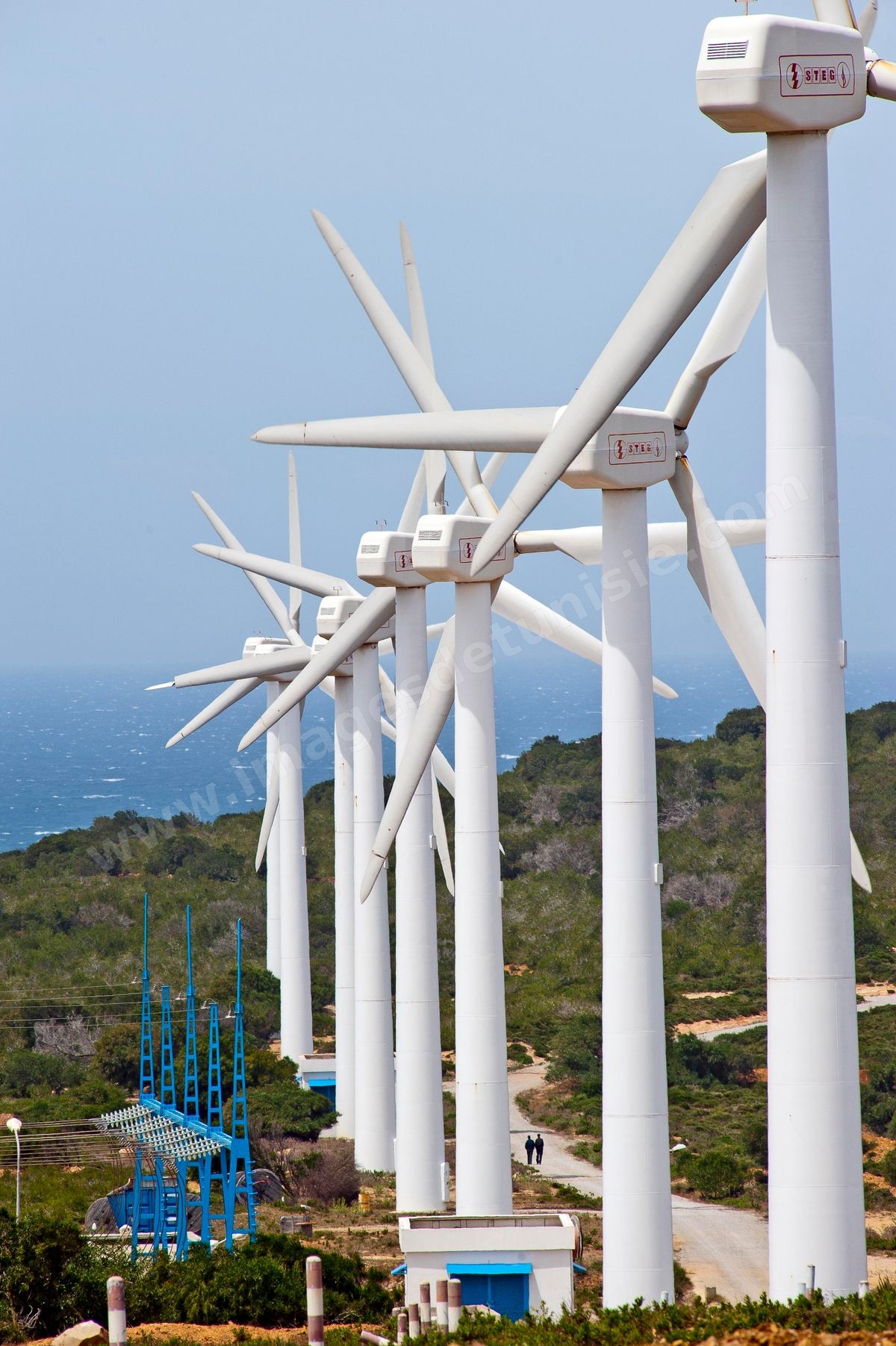 Champ d'éoliennes de la STEG à Sidi Daoud au nord du Cap Bon
