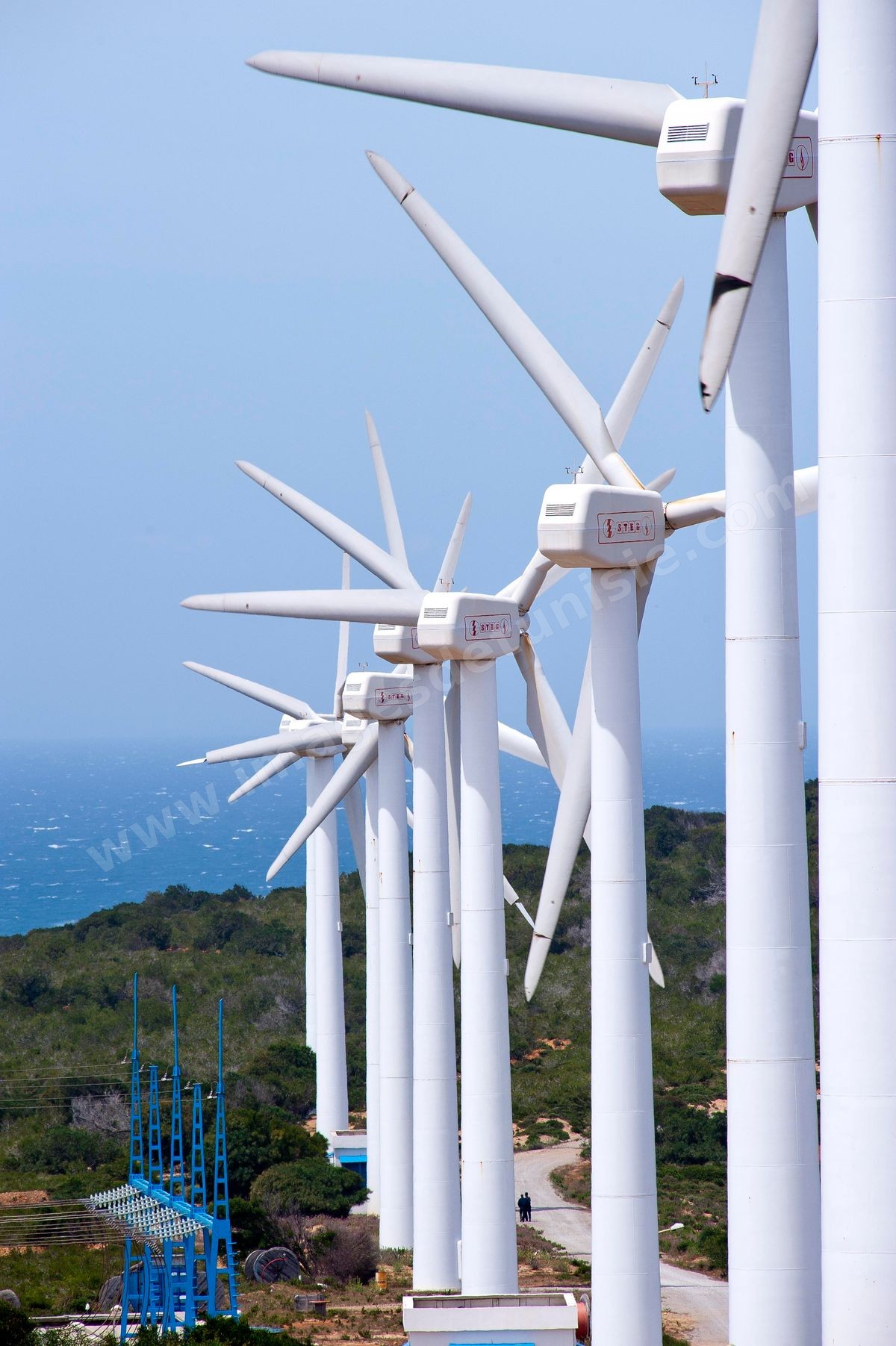 Champ d'éoliennes de la STEG à Sidi Daoud au nord du Cap Bon