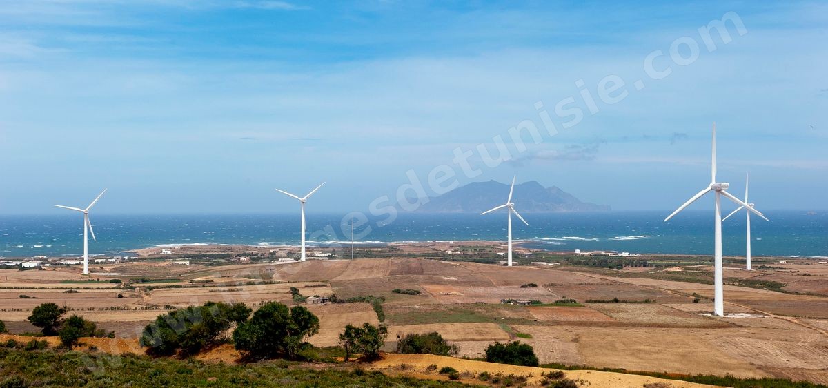 Champ d'éoliennes de la STEG à Sidi Daoud au nord du Cap Bon