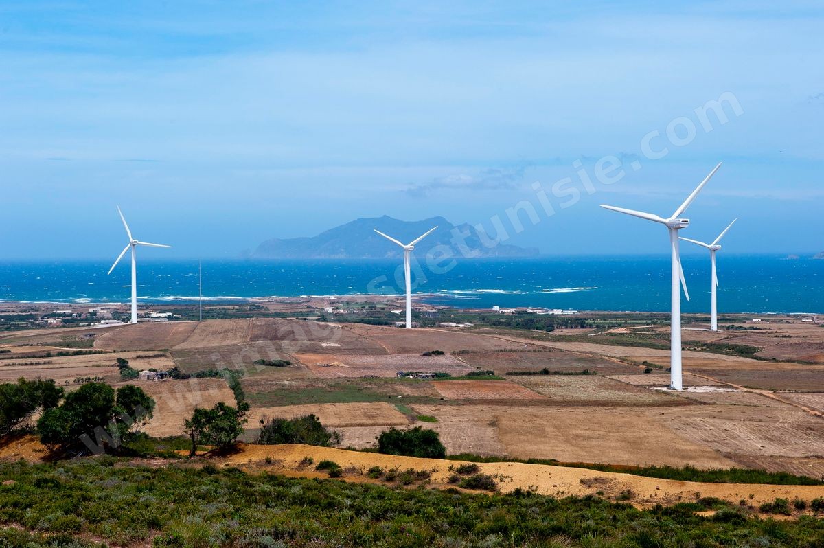 Champ d'éoliennes de la STEG à Sidi Daoud au nord du Cap Bon