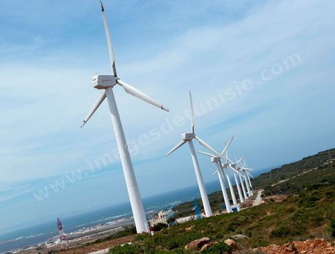 STEG Wind Farm in Sidi Daoud, north of Cap Bon