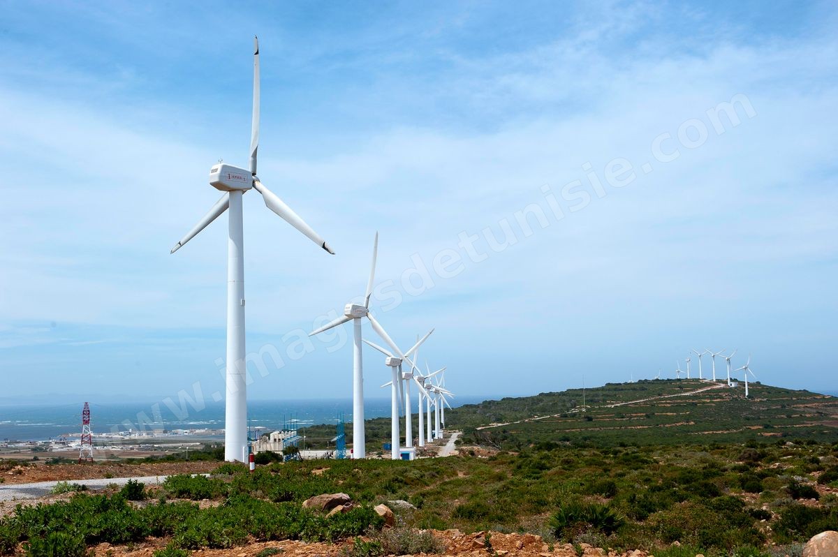 Champ d'éoliennes de la STEG à Sidi Daoud au nord du Cap Bon