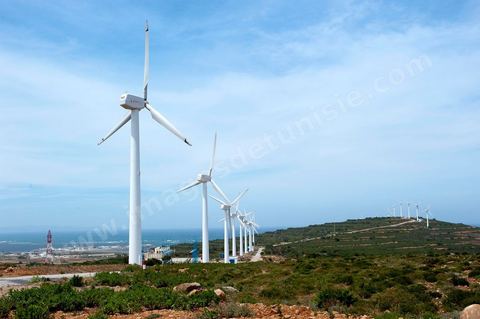 STEG Wind Farm in Sidi Daoud, north of Cap Bon