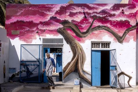 A Erriadh, Djerbahood, le musée à ciel ouvert de street art développée par Mehdi Ben Cheikh, de la galerie Itinérance à Paris 13. Oeuvre de l'artiste Pakone