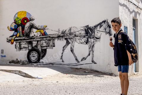 A Erriadh, Djerbahood, le musée à ciel ouvert de street art développée par Mehdi Ben Cheikh, de la galerie Itinérance à Paris 13. Oeuvre de l'artiste Dabro