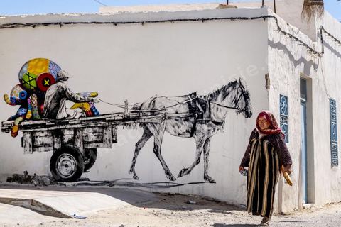 A Erriadh, Djerbahood, le musée à ciel ouvert de street art développée par Mehdi Ben Cheikh, de la galerie Itinérance à Paris 13. Oeuvre conjointe des artistes Dabro et Tinho.
