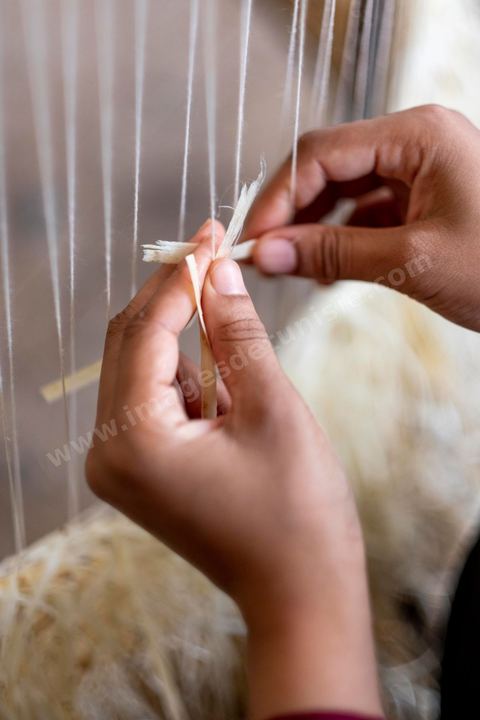 Dans l'atelier de l'artiste gabésien Mohamed Amine Hamouda