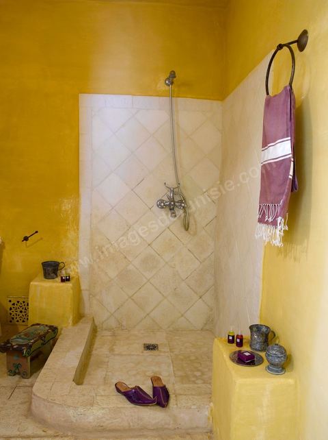 Hotel de charme Dar Dhiafa - Erriadh - Ile de Djerba