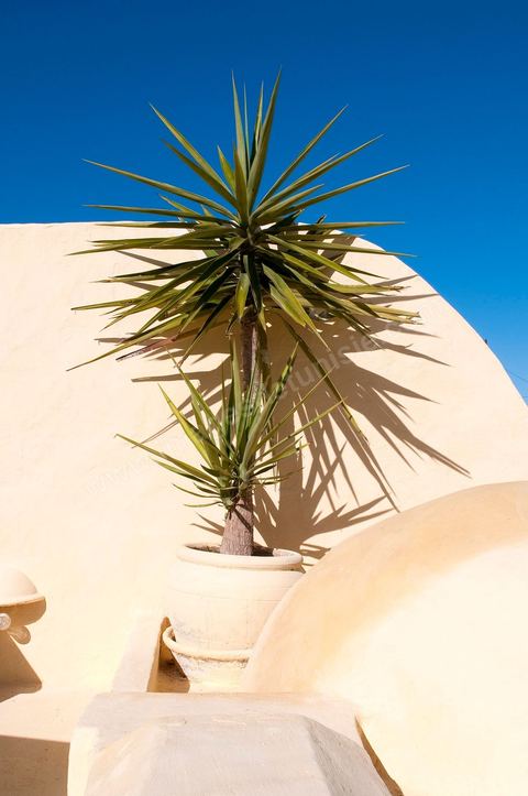 Hotel de charme Dar Dhiafa - Erriadh - Ile de Djerba