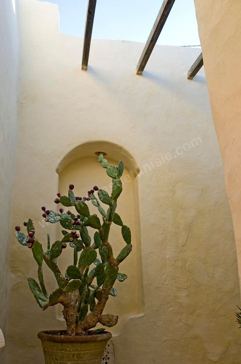 Hotel de charme Dar Dhiafa - Erriadh - Ile de Djerba