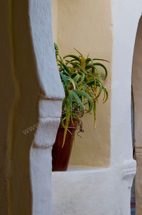 Hotel de charme Dar Dhiafa - Erriadh - Ile de Djerba