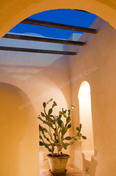 Hotel de charme Dar Dhiafa - Erriadh - Ile de Djerba