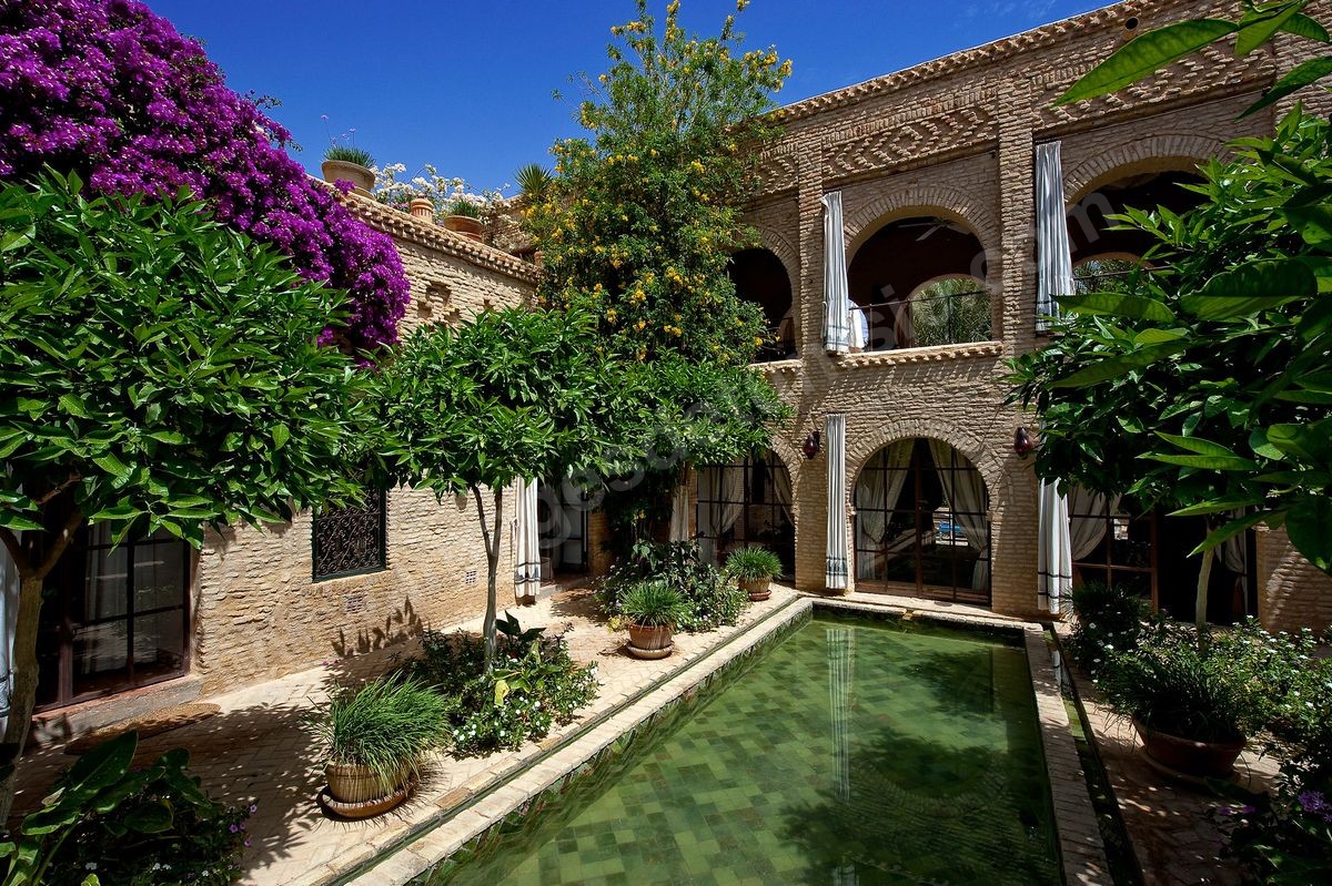 patio bassin du Dar El Hadir de Antoine dans la medina de Tozeur