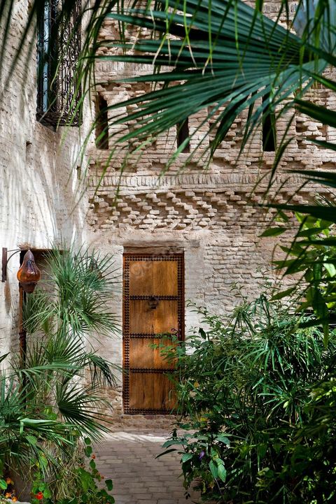 Patio jardin - Dar El Hadir de Antoine dans la medina de Tozeur