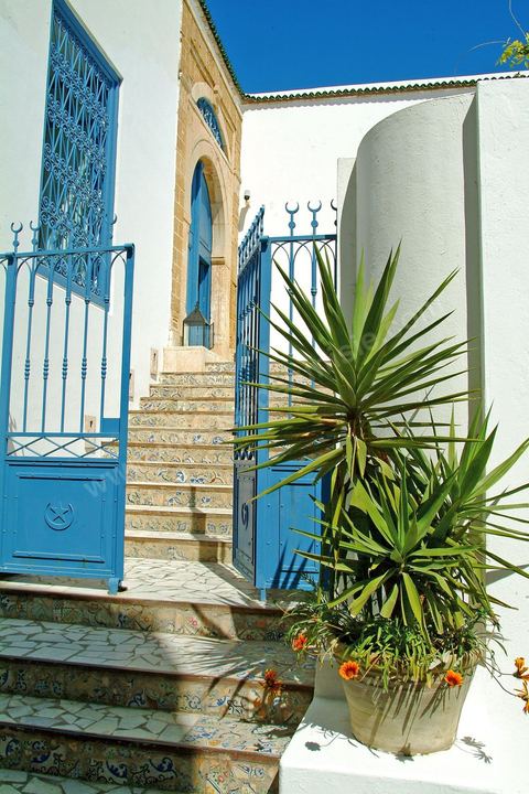 Hotel dar Said à sidi bou said