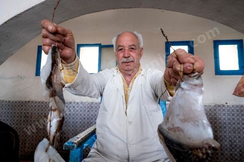 Criée aux poissons au marché de Houmt Souk