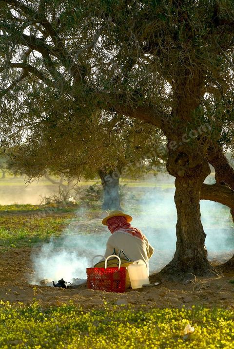 Pause thé dans la campagne près de Houmt Souk - Djerba