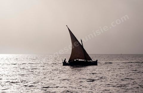 Bateau traditionnel de Kerkannah dans le port de pêche d'El Ataya sur l'île Chergui de Kerkennah
