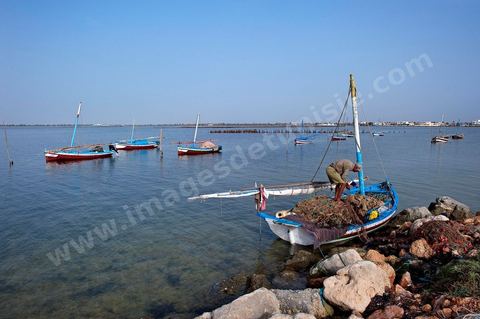 Départ de pêche sur un bateau traditionnel de Kerkannah dans le port de pêche d'El Ataya sur l'île Chergui de Kerkennah
