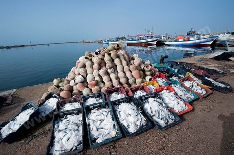 port de pêche d'El Ataya sur l'île Chergui de Kerkennah