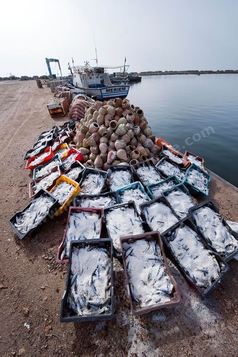 port de pêche d'El Ataya sur l'île Chergui de Kerkennah
