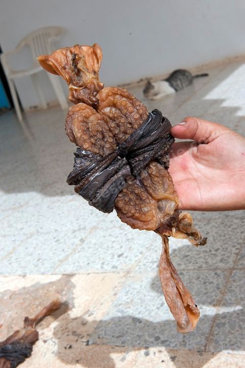 Poulpe séchée, une spécialité culiniare de Kerkennah
