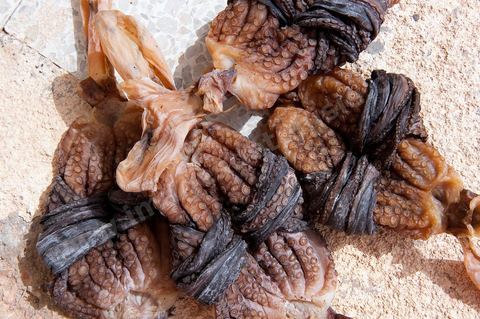 Poulpe séchée, une spécialité culiniare de Kerkennah