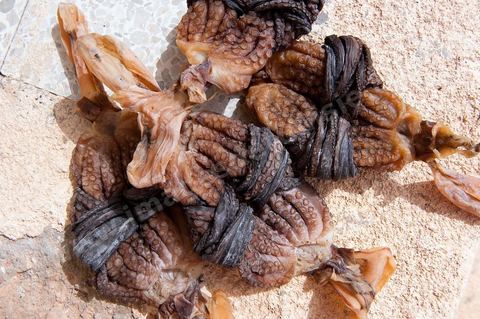 Poulpe séchée, une spécialité culiniare de Kerkennah