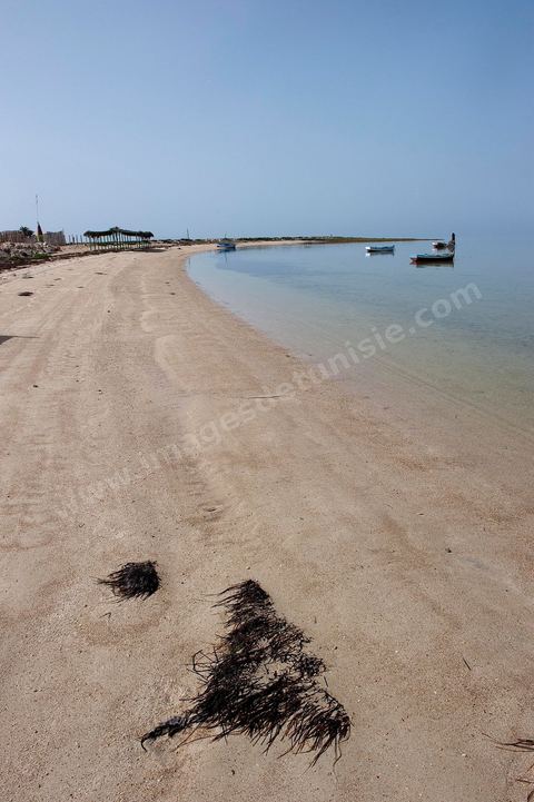 Plage avec pêcheur sur l'île de Chergui à Kerkennah