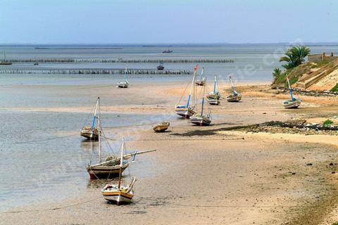 Plages et barques sur l'ile de Kerkennah