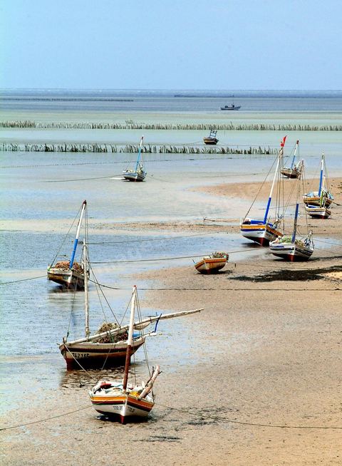 Plages et barques sur l'ile de Kerkennah