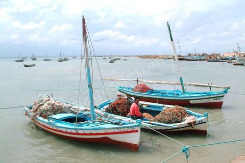 Plages et barques sur l'ile de Kerkennah