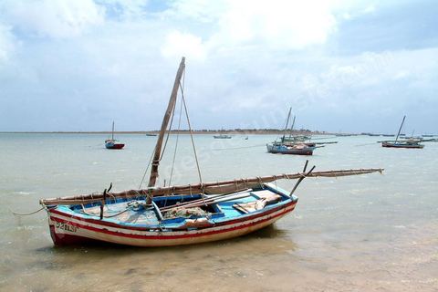 Plages et barques sur l'ile de Kerkennah