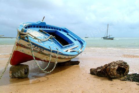Plages et barques sur l'ile de Kerkennah