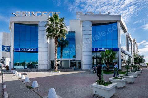 Show room de Stafim Peugeot aux Berges du Lac de Tunis