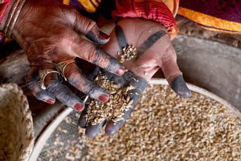 XPR22926