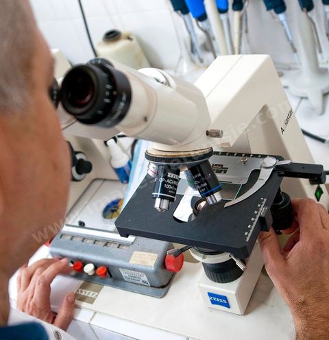 Laboratoire d'analyse de sperme - Centre de Recherche en Santé de la Repproduction de l'Ariana à Tunis - Office national de la Famille et de la Population - Ministère de la Santé Publique