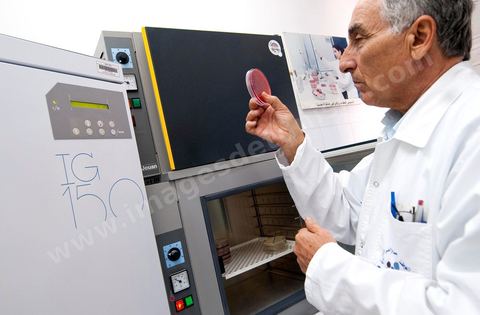 Laboratoire de conservation et fertilisation des ovules au Centre de Recherche en Santé de la Repproduction de l'Ariana à Tunis - Office national de la Famille et de la Population - Ministère de la Santé Publique