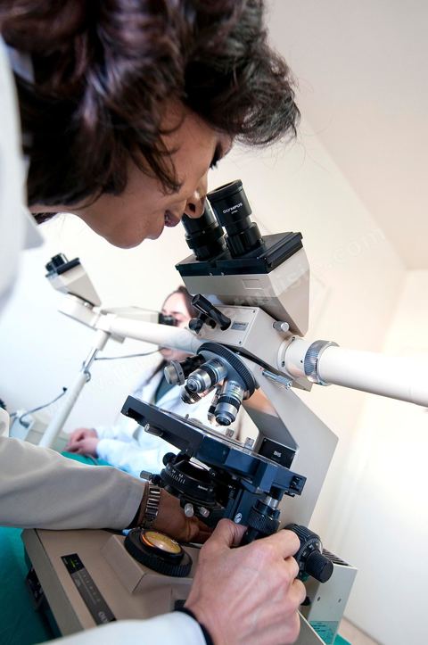 Laboratoire d'analyses des ovules et spermes au Centre de Recherche en Santé de la Repproduction de l'Ariana à Tunis - Office national de la Famille et de la Population - Ministère de la Santé Publique