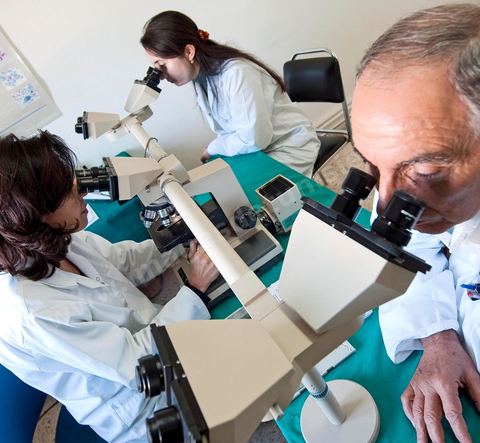 Laboratoire d'analyses des ovules et spermes au Centre de Recherche en Santé de la Repproduction de l'Ariana à Tunis - Office national de la Famille et de la Population - Ministère de la Santé Publique