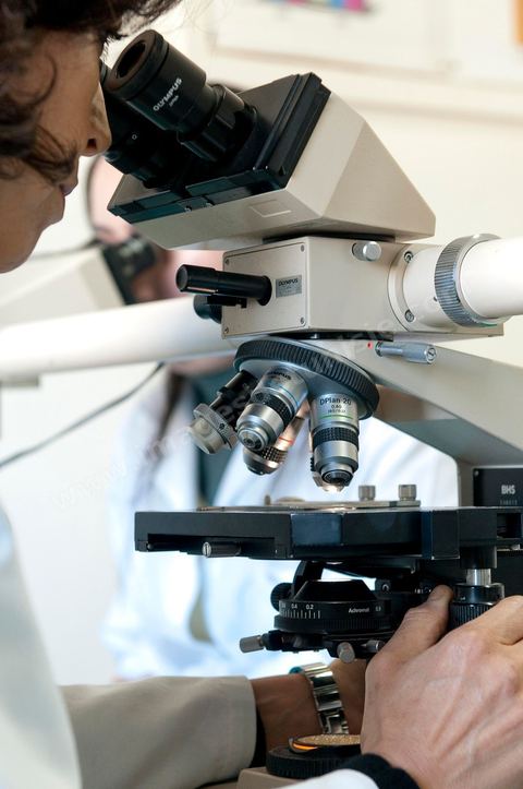 Laboratoire d'analyses des ovules et spermes au Centre de Recherche en Santé de la Repproduction de l'Ariana à Tunis - Office national de la Famille et de la Population - Ministère de la Santé Publique
