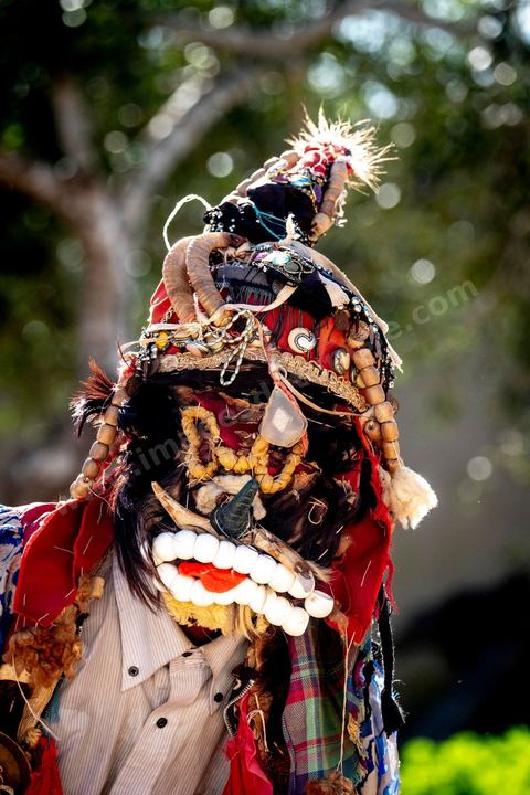 Le boussadia est l'un des personnages traditionnels du folklore de Djerba. Coiffé d'un masque et vêtu de peaux d'animaux ornées de miroirs et de rubans, il parcourait autrefois les villages en dansant au rythme de cymbales de fer, souvent accompagné d'un enfant costumé comme lui. Cette figure, associée aux communautés noires de l'île, a longtemps mêlé fascination et effroi chez les enfants. Aujourd'hui quasi disparue ailleurs au Maghreb, la tradition du boussadia se perpétue encore à Djerba.