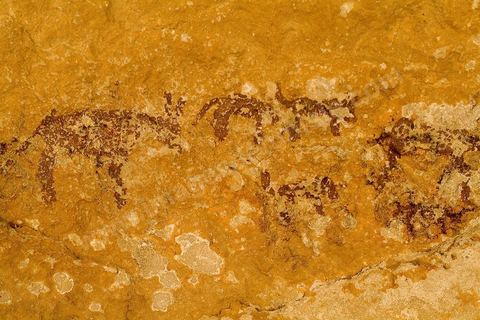 Peintures rupestres - Ghomrassen - Dahar