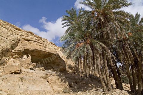 Ghomrassen - Dahar