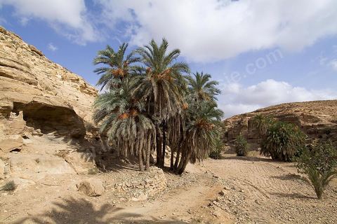 Ghomrassen - Dahar