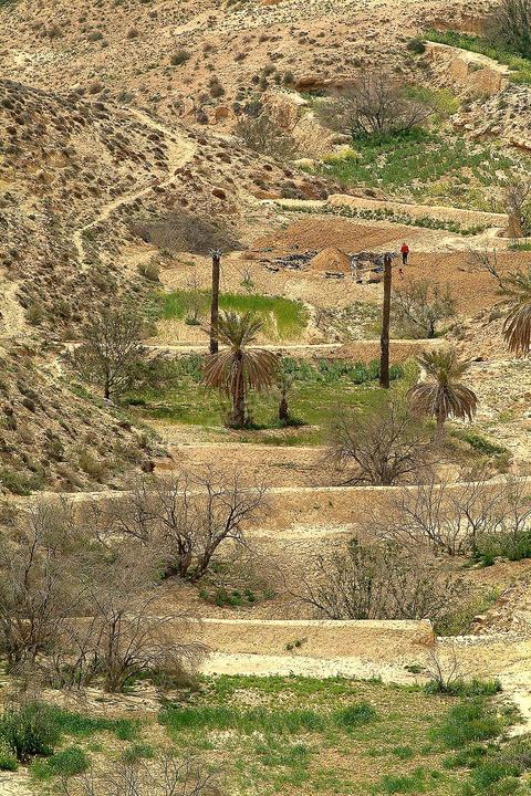 Agriculture en terrases orès de Toujane