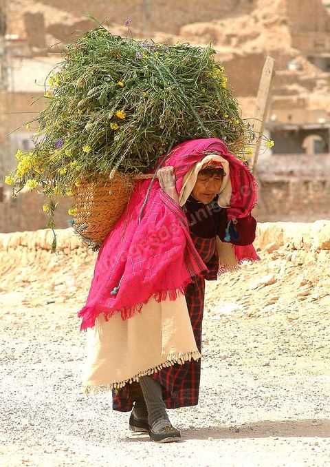Femme à Toujane