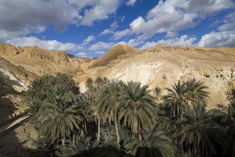 Village berbere de montagne et oasis de Chebika dans la region du Djerid au sud de la Tunisie