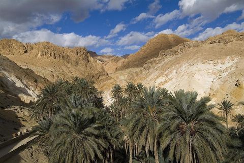 Village berbere de montagne et oasis de Chebika dans la region du Djerid au sud de la Tunisie
